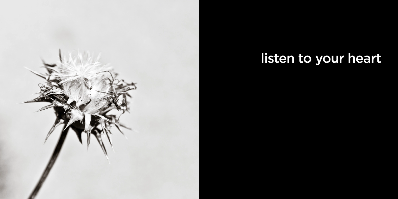 listen to your heart