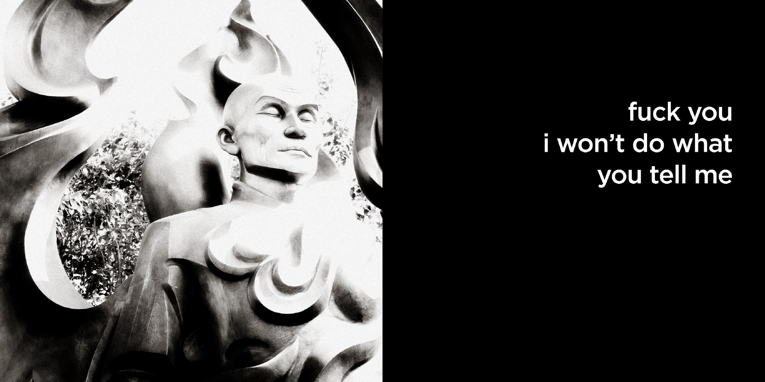 fuck you i won’t do what you tell me