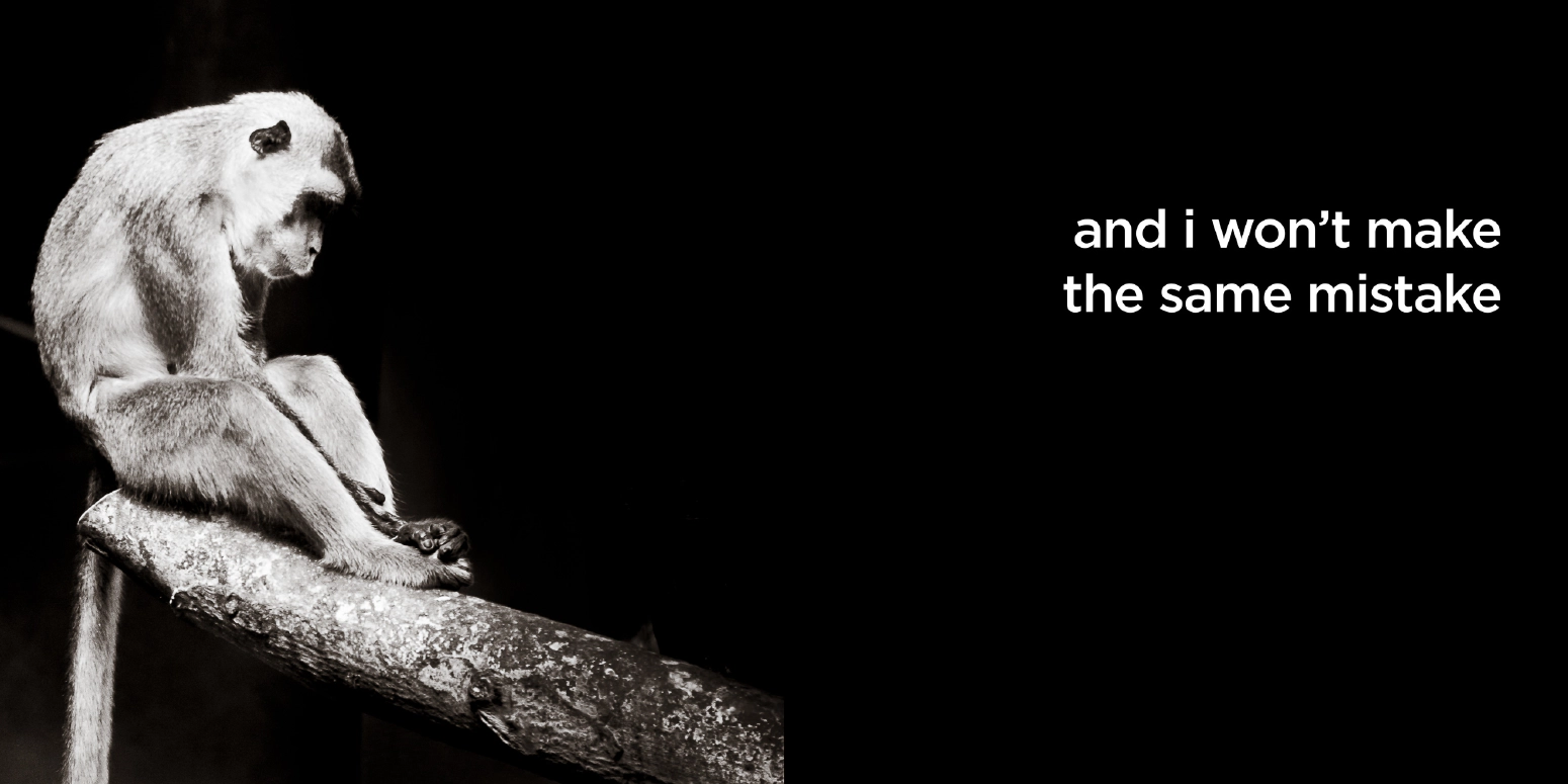 and i won’t make the same mistake