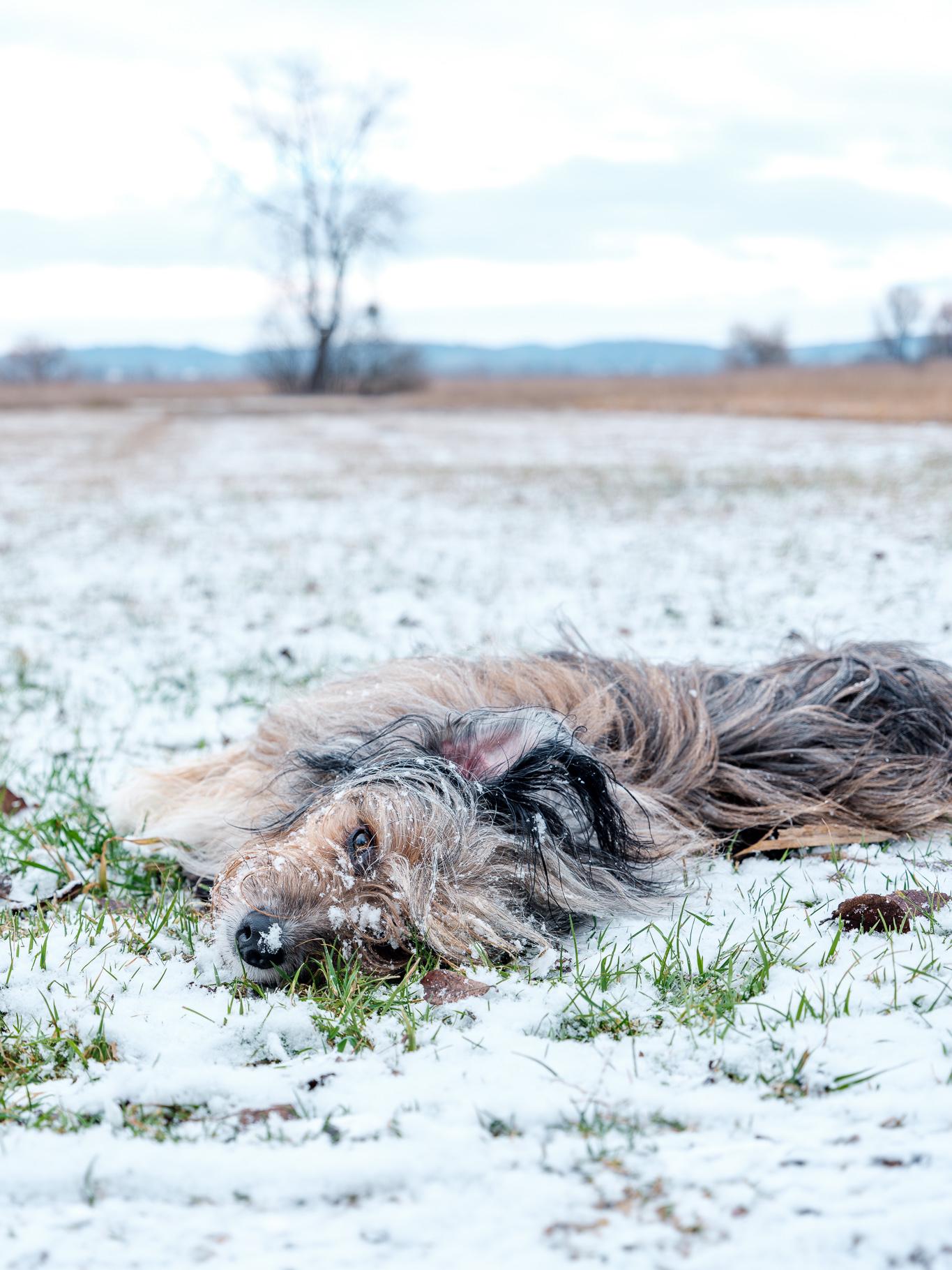 Hope im Schnee