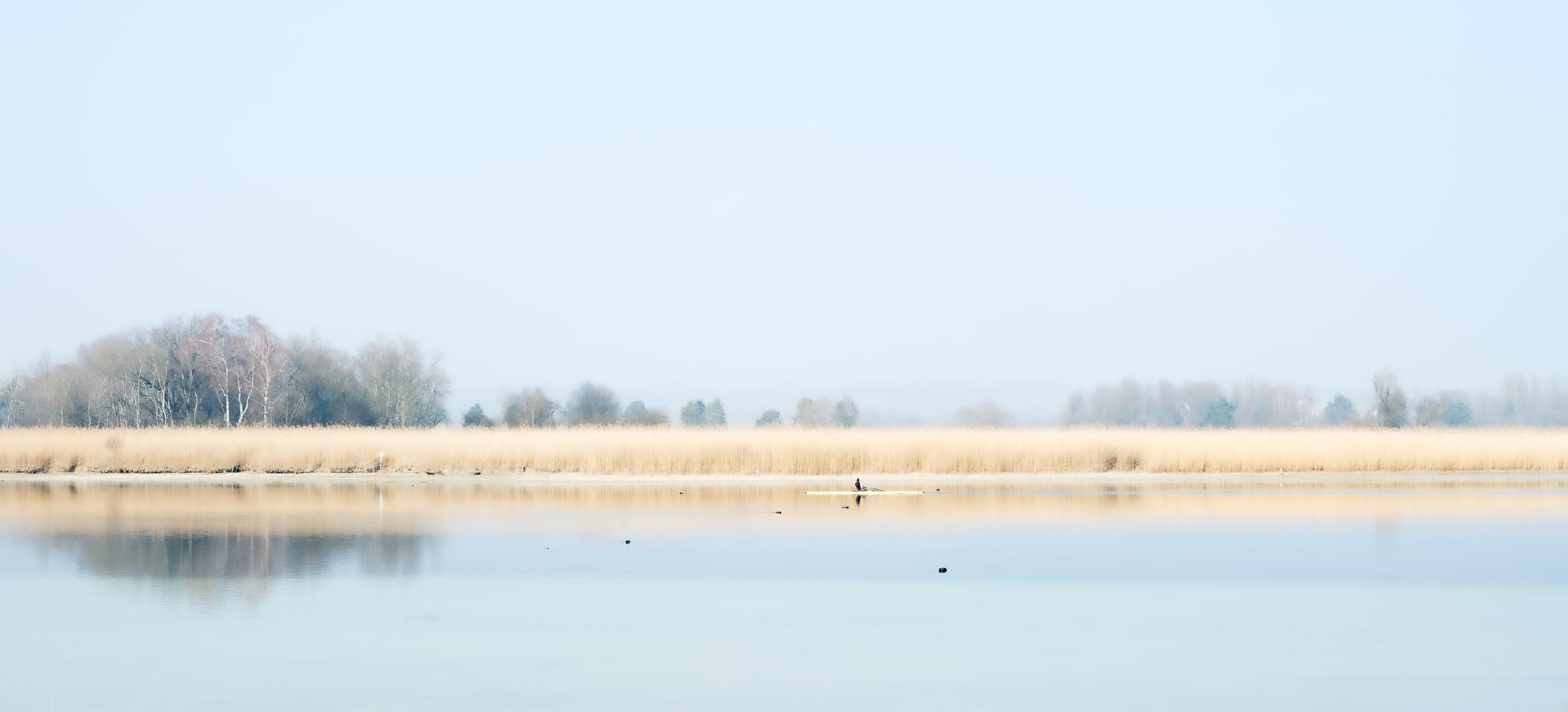 Kanute auf dem Seerhein
