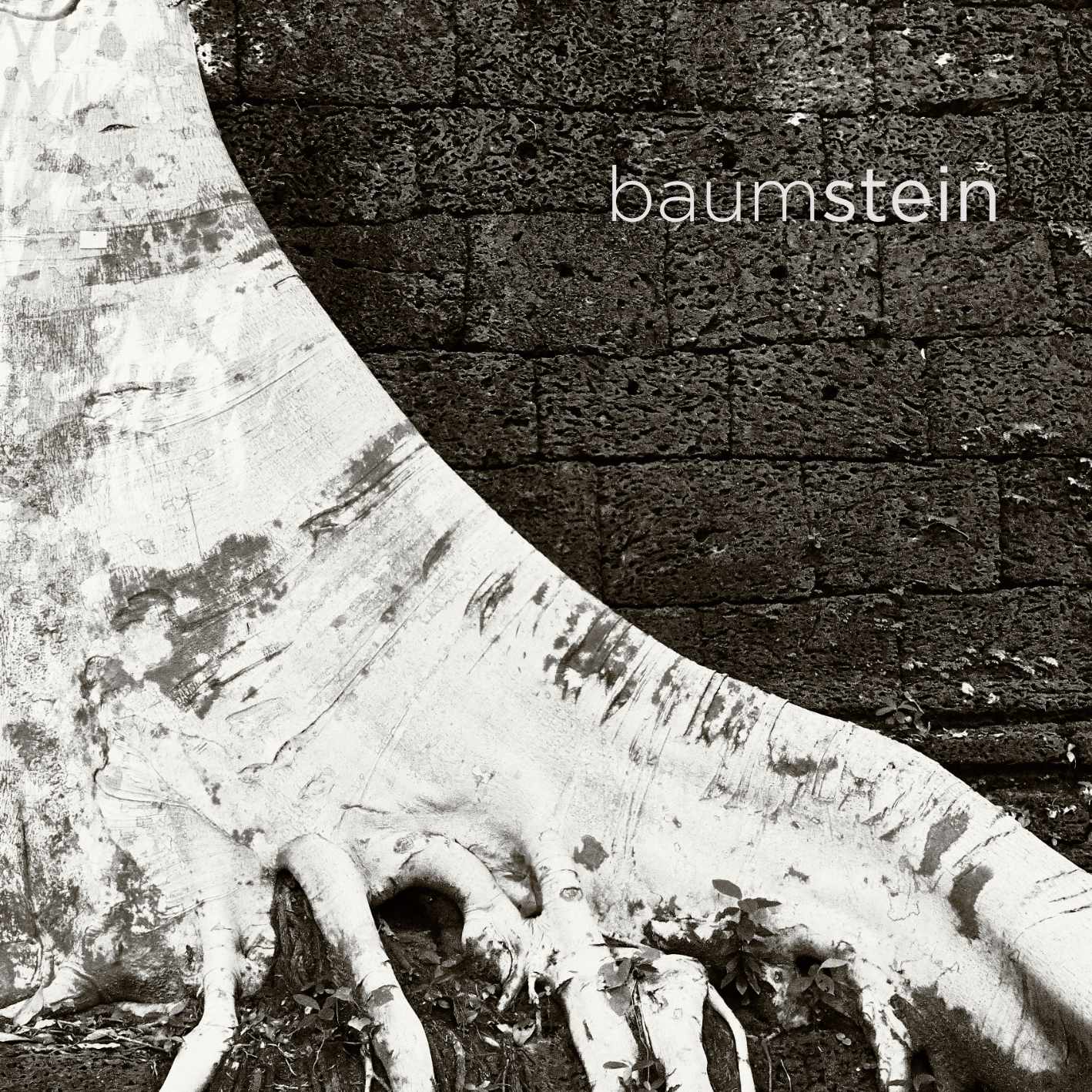 Baumstein