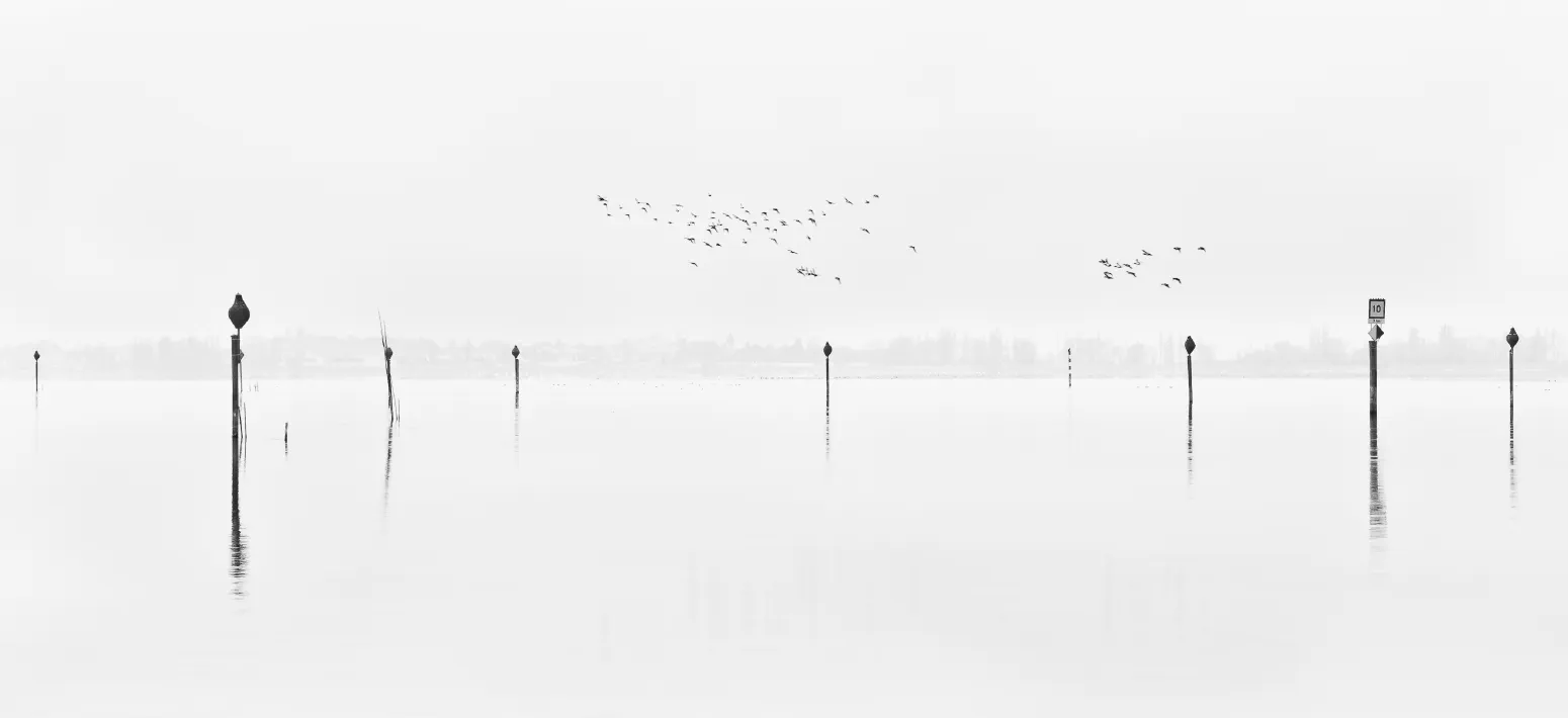 Vogelschwarm. Gottlieber Ried, Gottlieben, Schweiz. Januar 2010