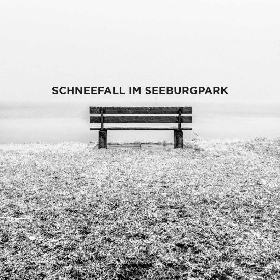 Schneefall im Seeburgpark