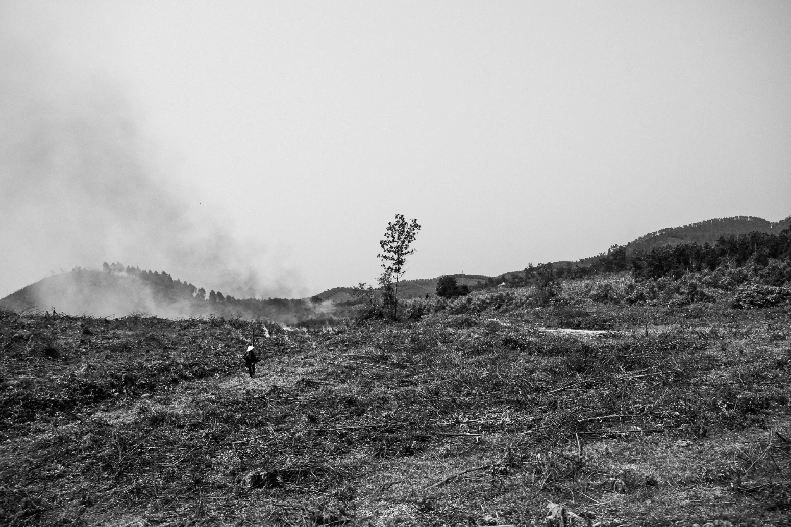 BRENNENDE FELDER / BURNING FIELDS. Quang Binh Province, Vietnam