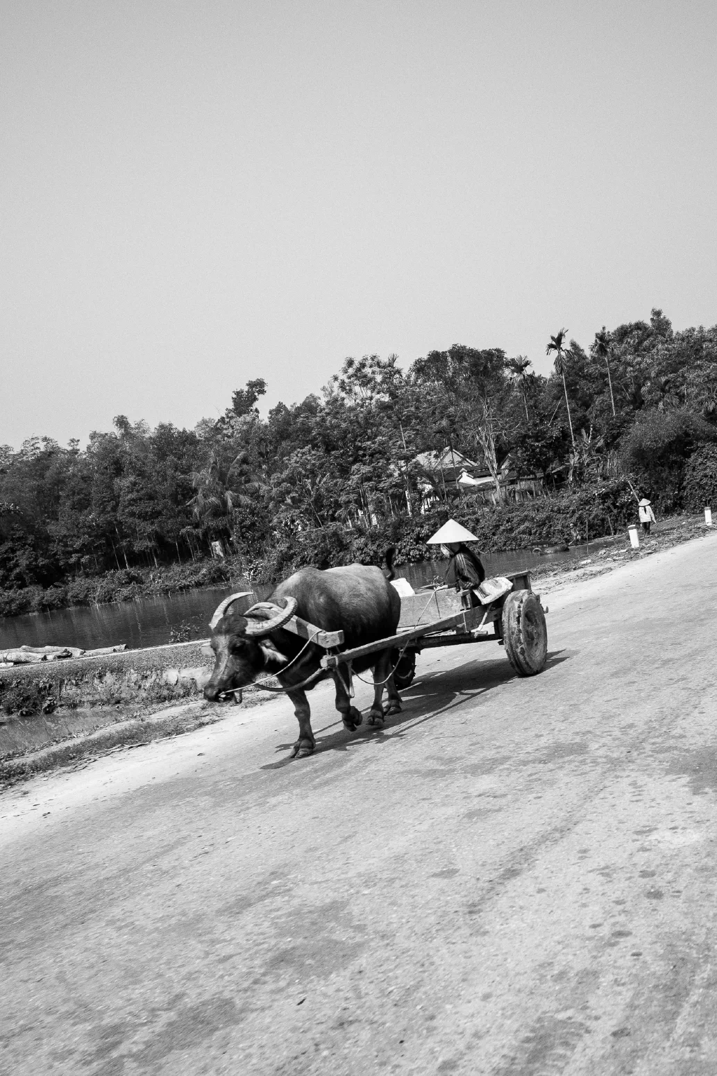 OCHSENKARREN / BULLOCK CART. Nghe An Province, Vietnam