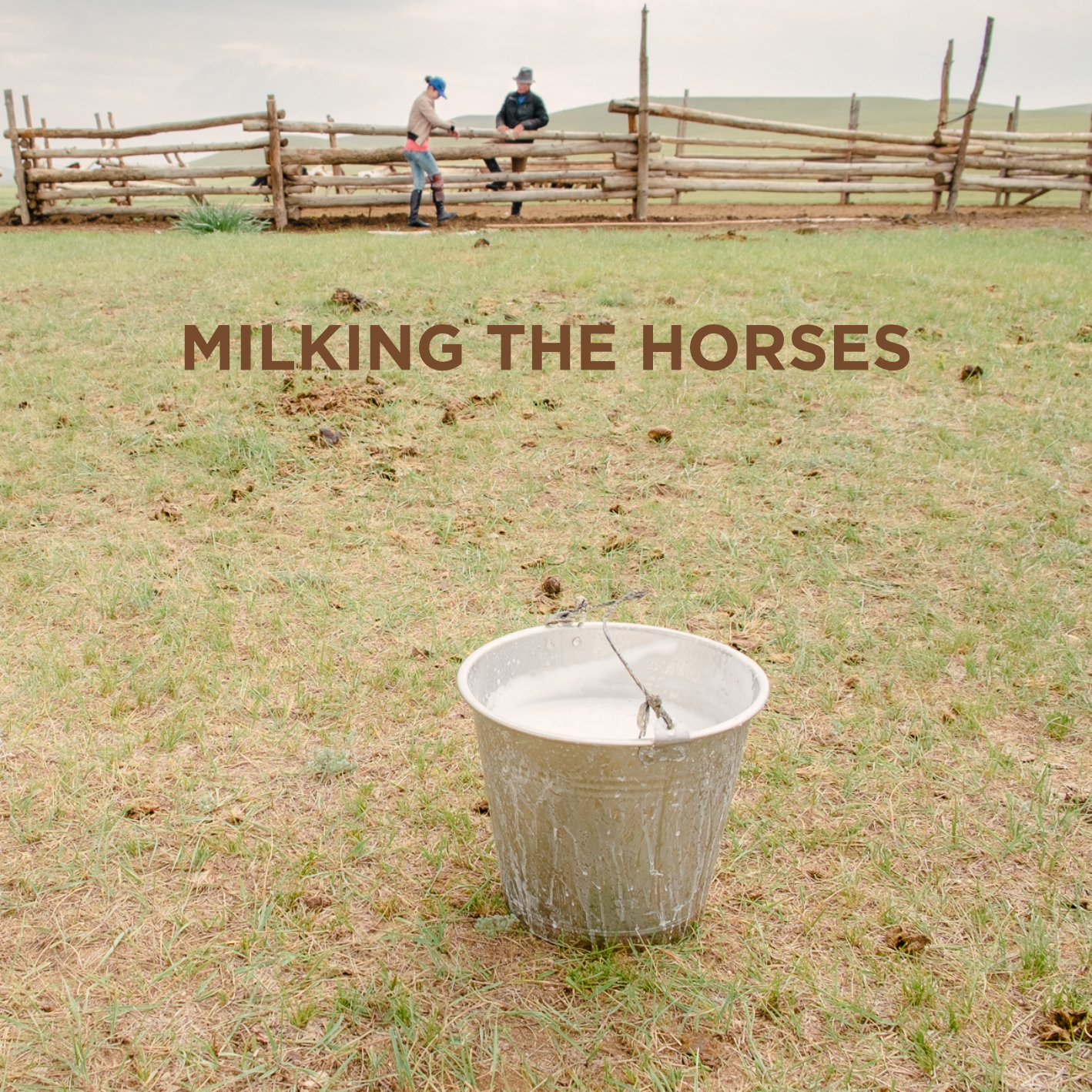 Milking the Horses